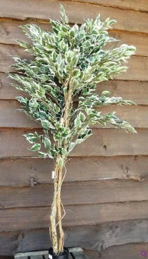 Artificial Silk Ficus Tree FR