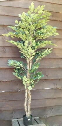Artificial Silk Ficus Tree FR