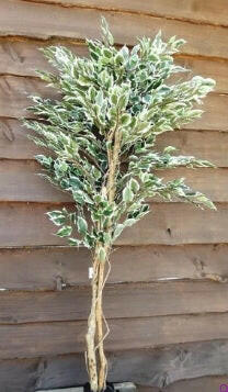 Artificial Silk Ficus Tree FR