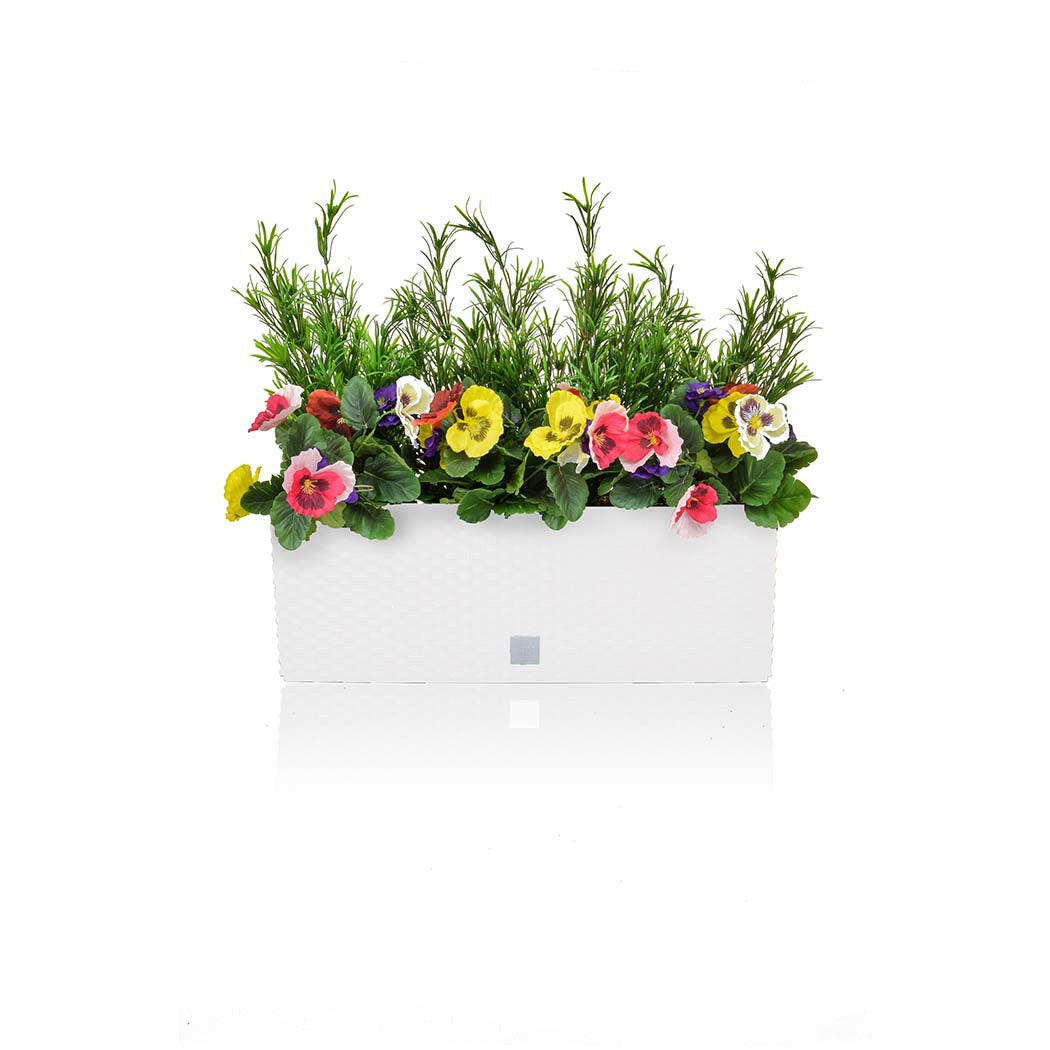 Artificial Pansy and Podocarpus in Rato Trough