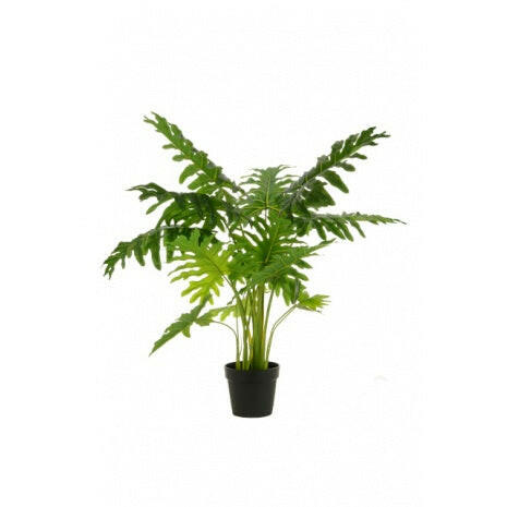 Artificial Silk Happy Philo Plant