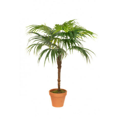 Artificial Silk Chinese Fan Palm Tree