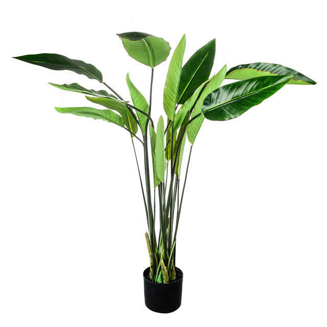 Artificial Silk Strelitzia Plant, Potted