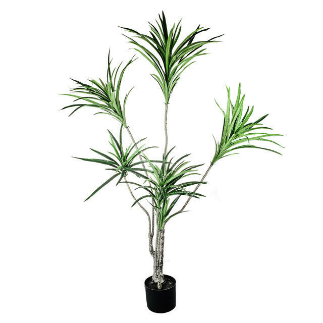 Artificial Silk Dracaena Plant, Potted