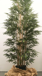 Showing a hand built 9ft/270cm/2.7m Artificial Bamboo Tree