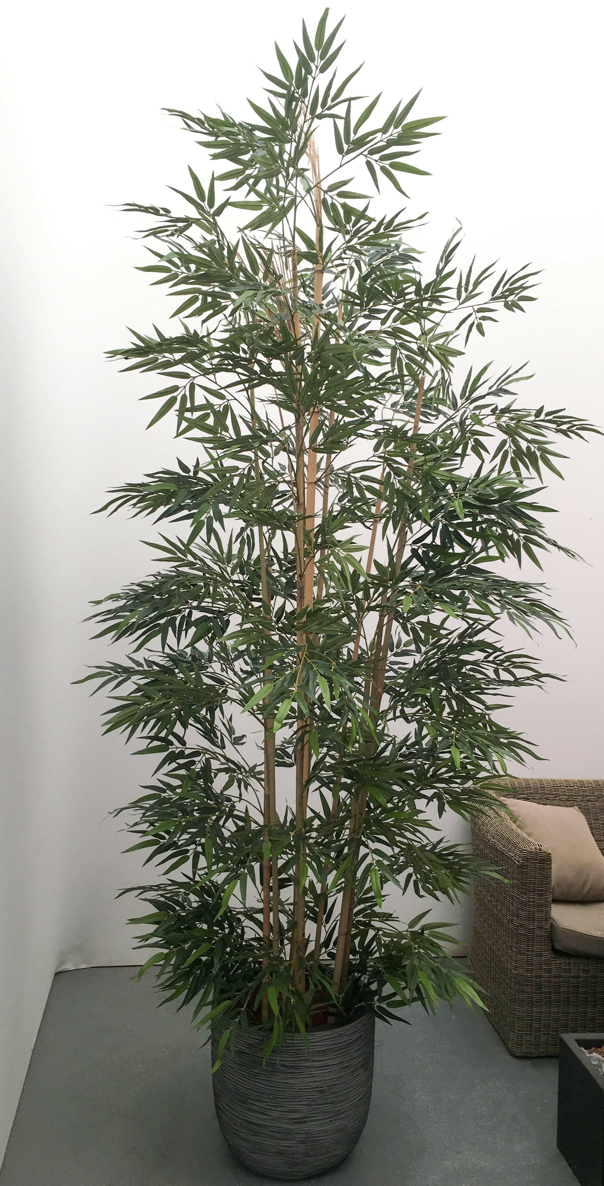 Showing our hand built 9ft/270cm/2.7m Artificial Bamboo Tree in a Planter for illustration purposes