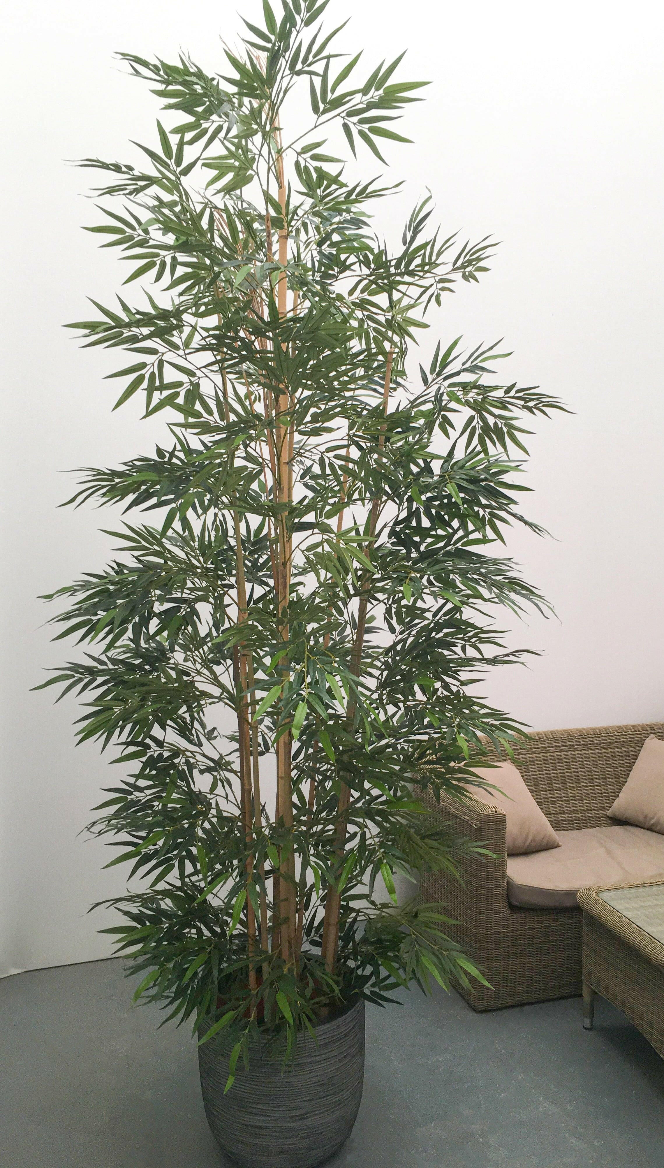 Showing our hand built 9ft/270cm/2.7m Artificial Bamboo Tree in a Planter for illustration purposes