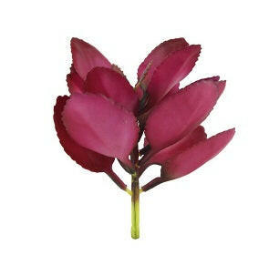 Artificial Apple Leaf Succulent