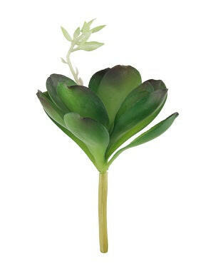 Artificial Desert Rose Succulent