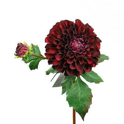 Artificial Silk Dahlia