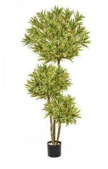 Artificial Silk Dracaena Reflexa Multi Layer Tree