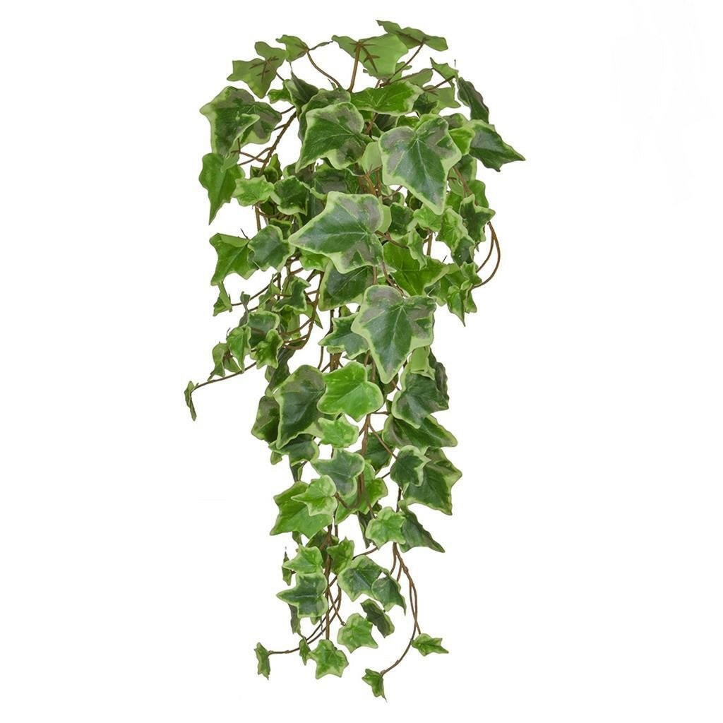 Artificial Silk Trailing Ivy FR