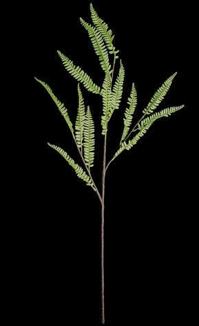 Artificial Silk Boston Fern Spray