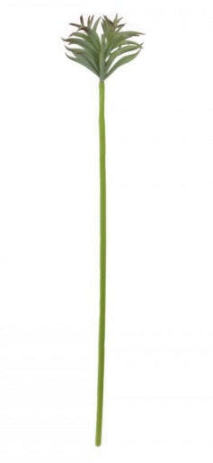 Artificial Chalk Finger Succulent