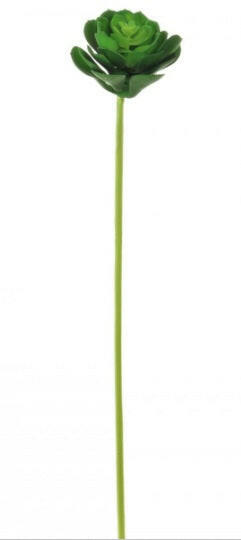 Artificial Afterglow Succulent