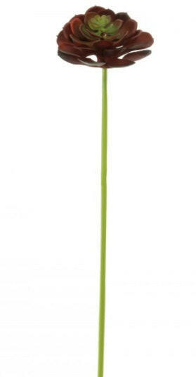 Artificial Afterglow Succulent