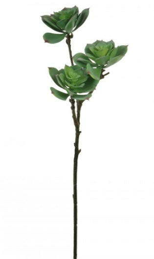 Artificial 3 Headed Black Prince Succulent