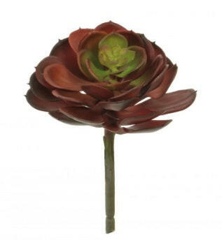 Artificial Afterglow Succulent Only