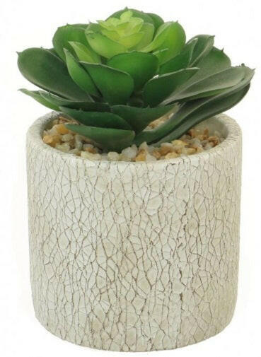 Artificial Afterglow Succulent Arrangement