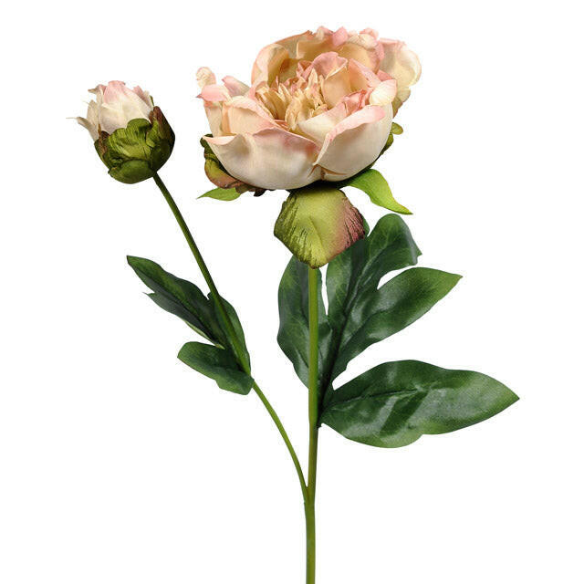 Artificial Silk Vintage Peony