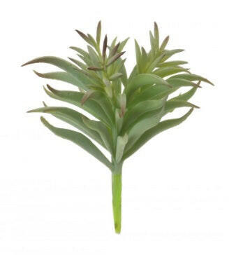 Artificial Chalk Finger Succulent Head Only