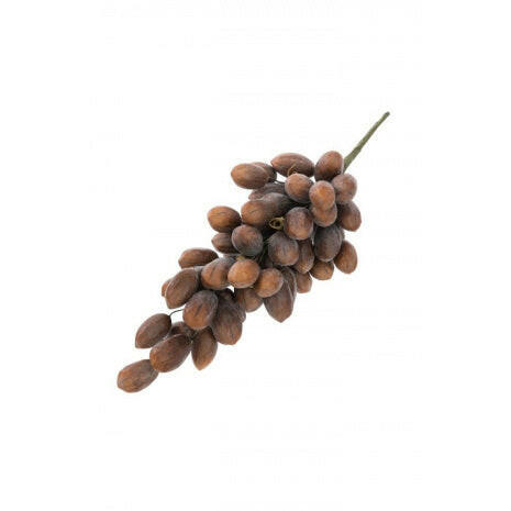 Artificial Pecan Cluster