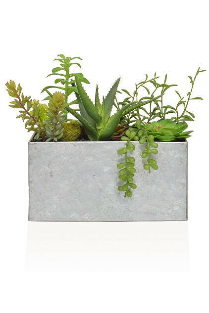 Artificial Mixed Succulents In Steel Trough