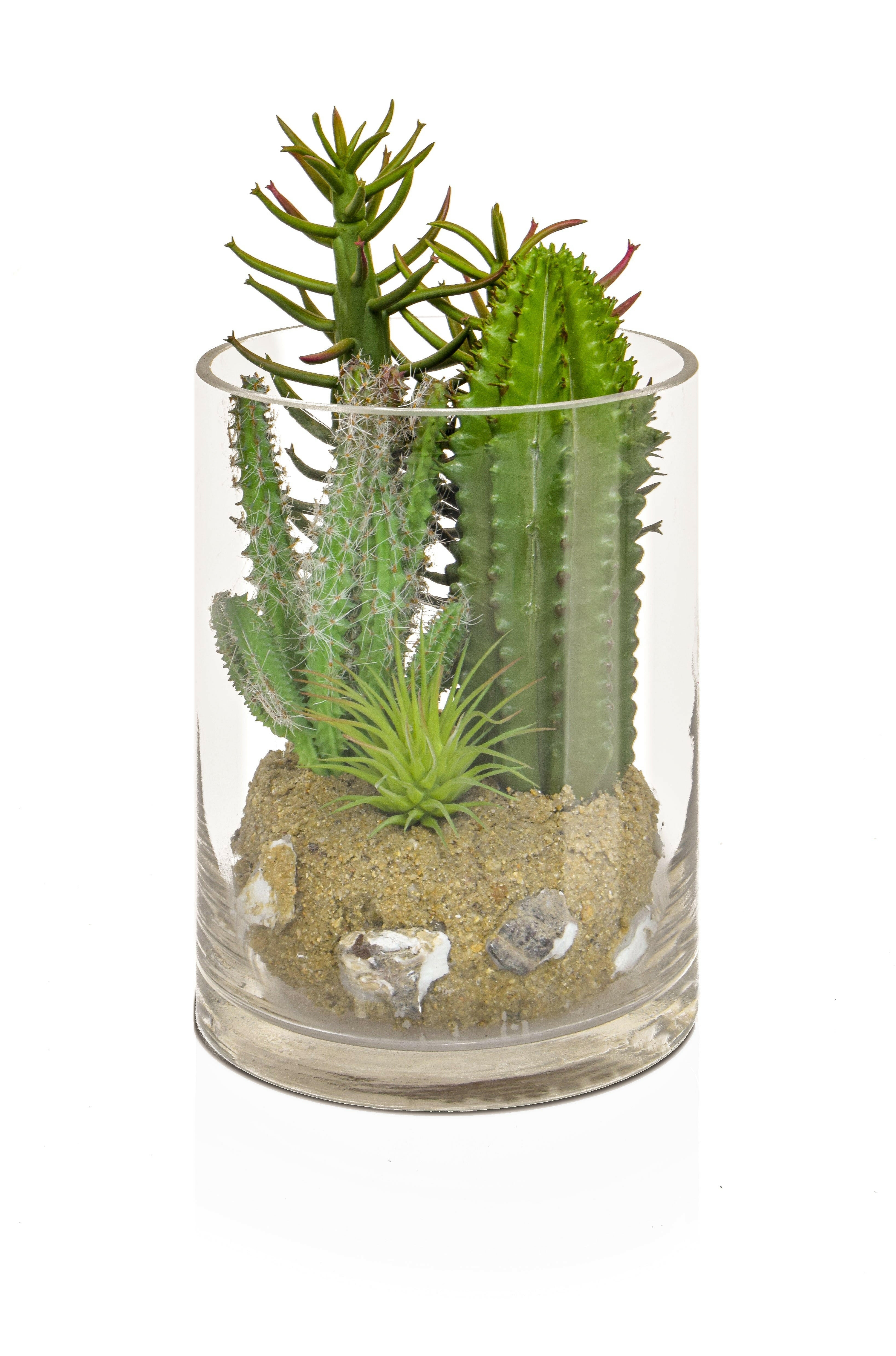 Artificial Cactus Mix in Glass Vase