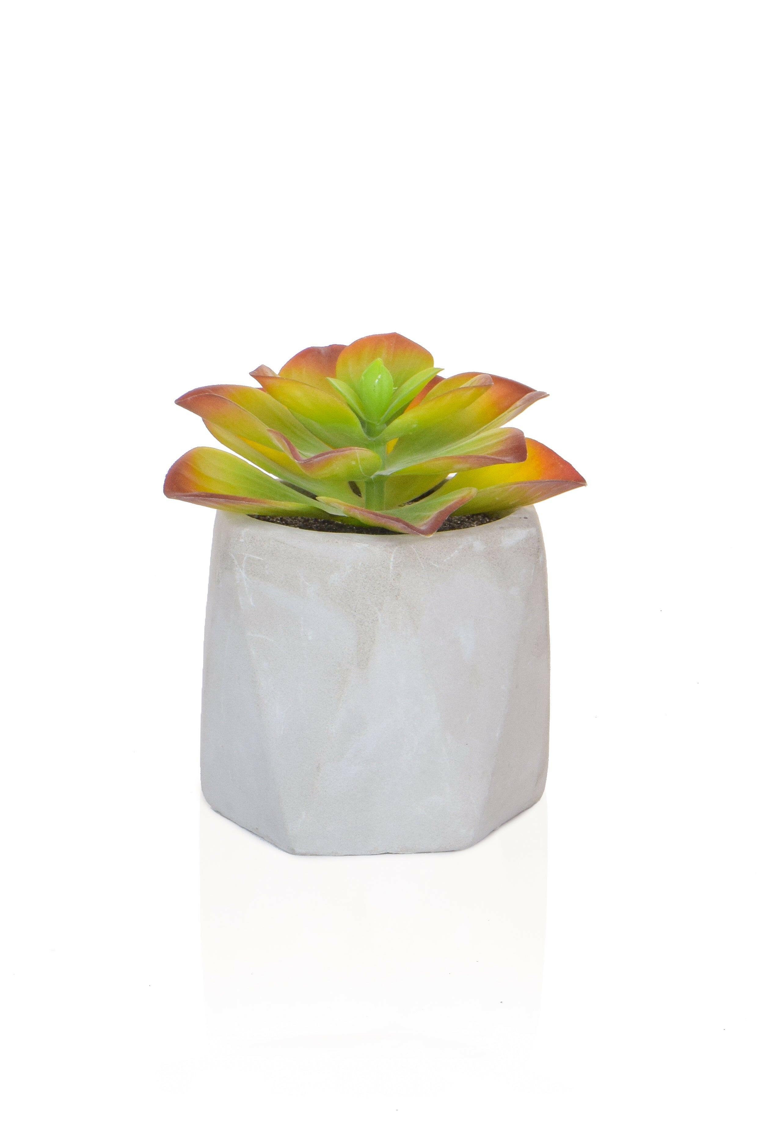 Artificial Mixed Succulent in White Pot