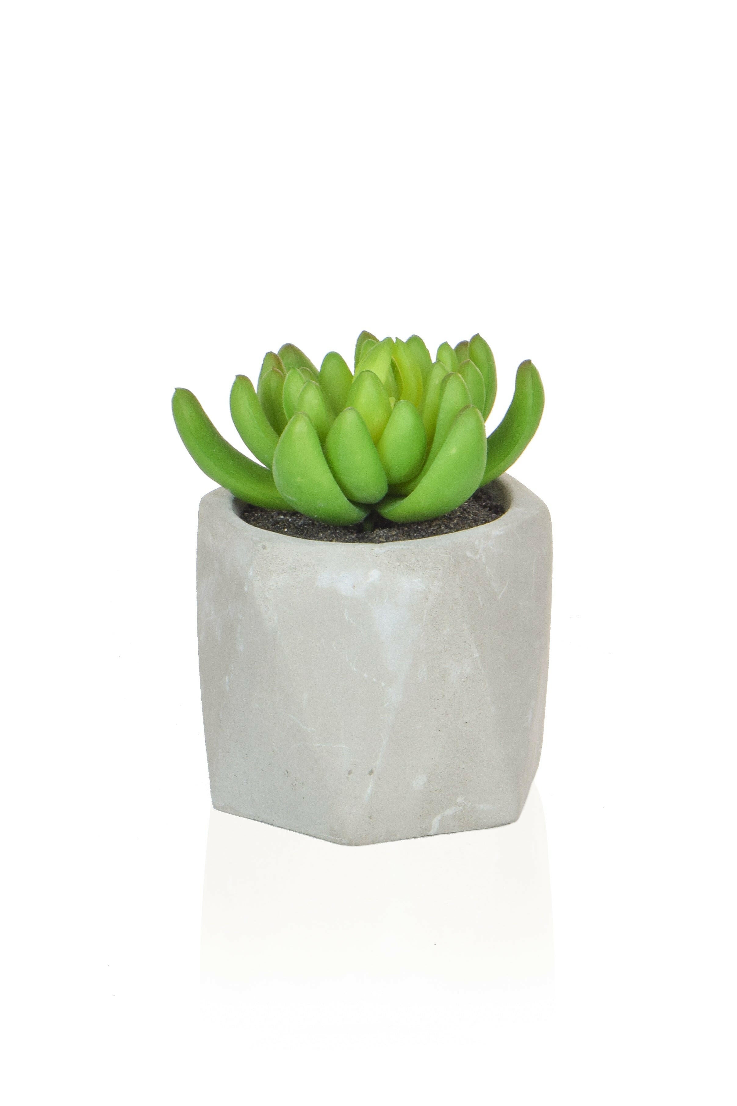 Artificial Mixed Succulent in White Pot