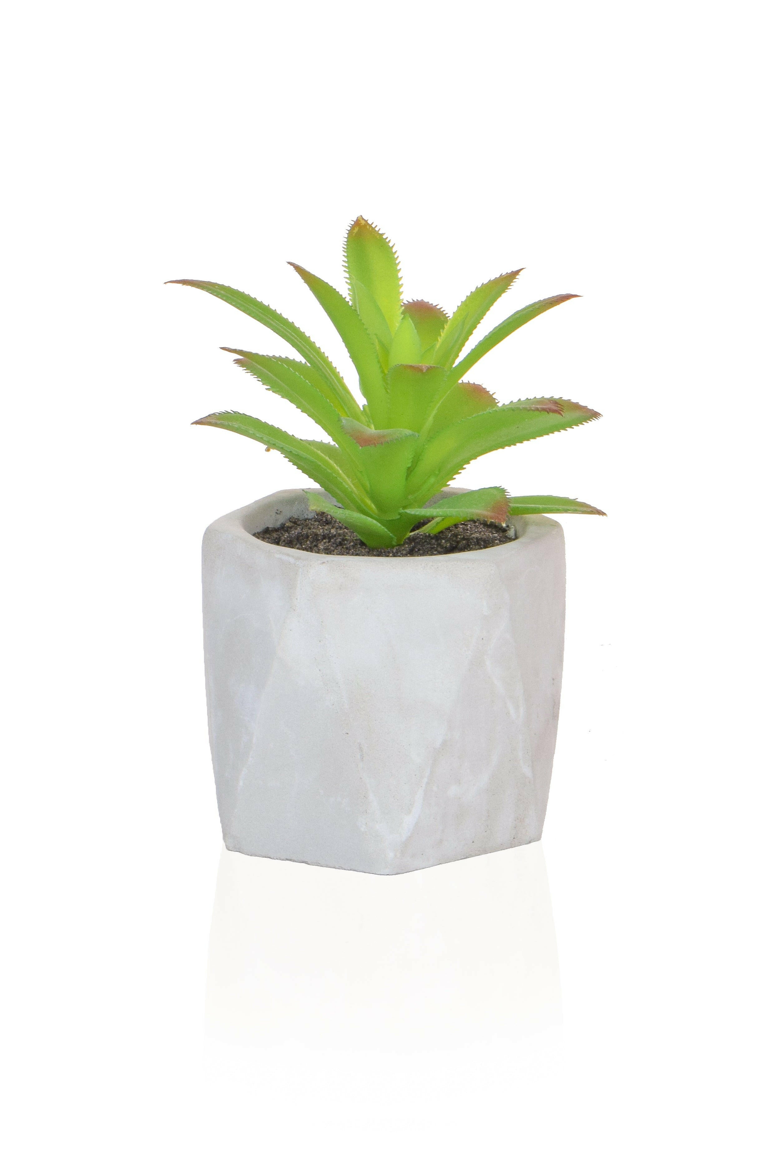 Artificial Mixed Succulent in White Pot