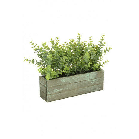 Artificial Eucalyptus Trough