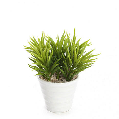 Artificial Potted Succulent x3 Pack