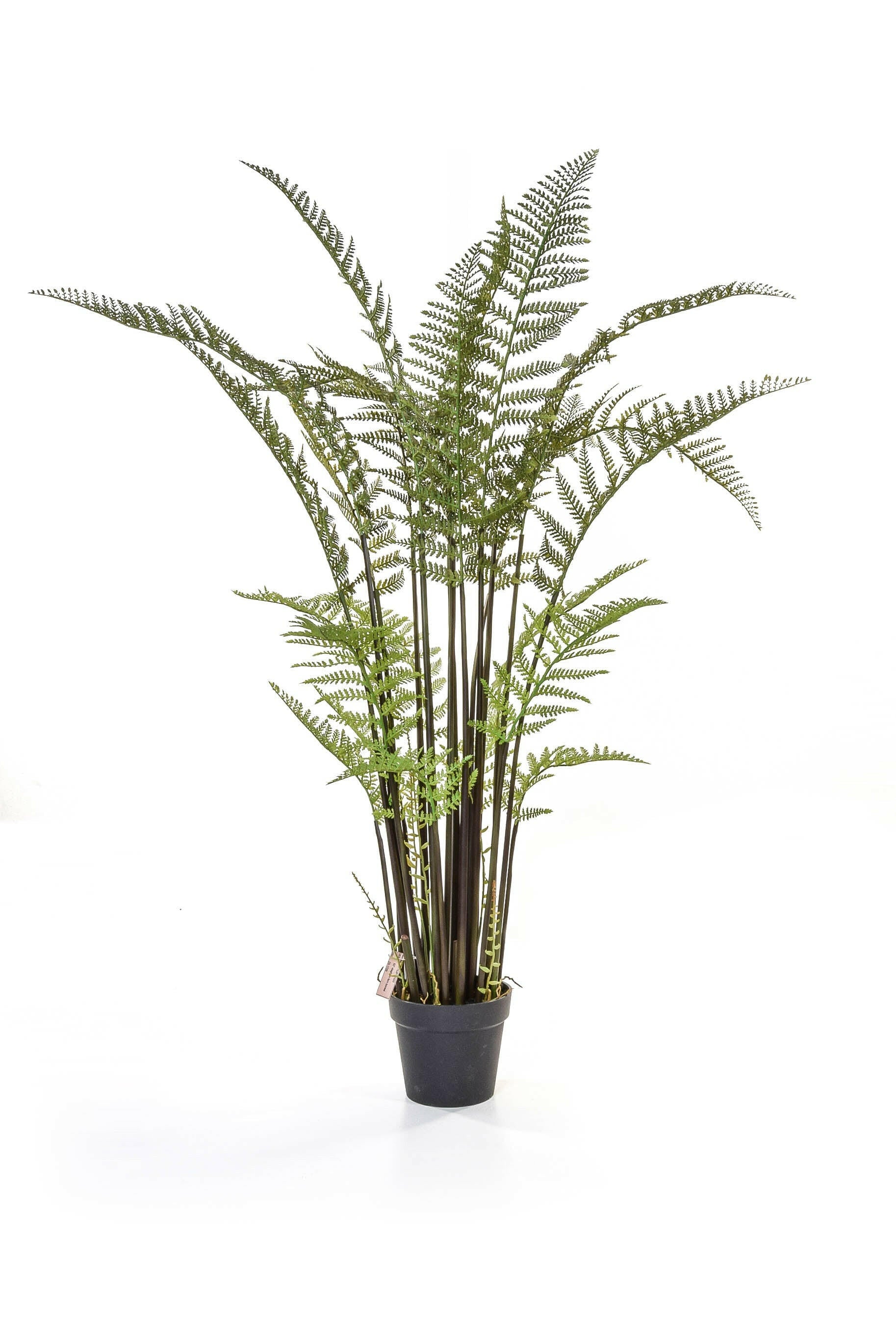 Artificial Tall Fern in Pot