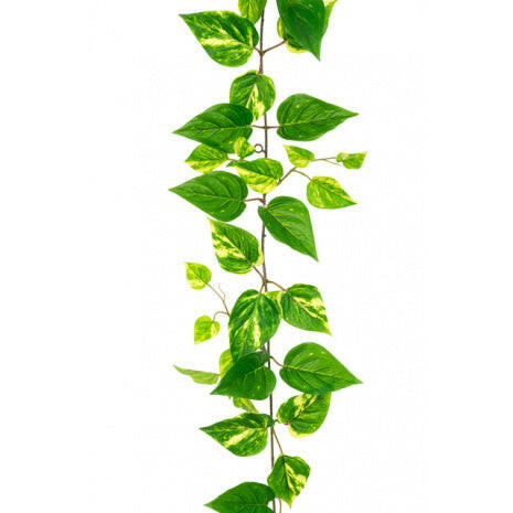 Artificial Pothos Garlands UV