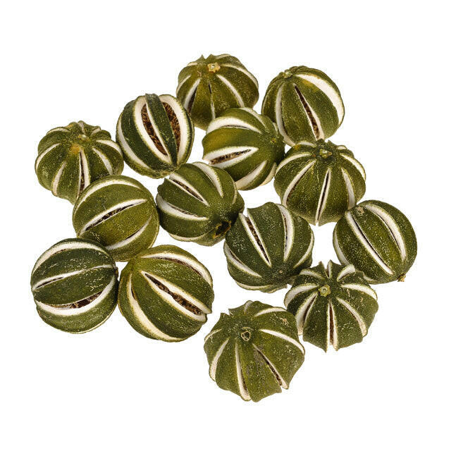 Artificial Dried Whole Lemon