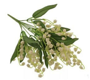 Lily of the Valley Bush