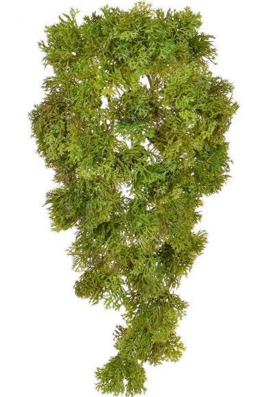 Artificial Reindeer Moss Trail FR