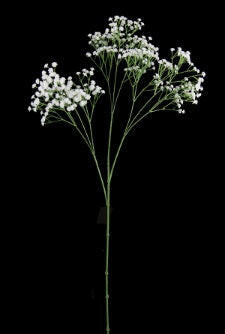 Artificial Silk Gypsophila