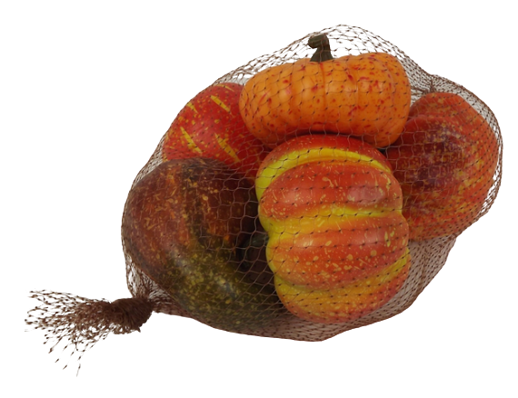 Artificial Pumpkin Mixed in net 6 Pieces