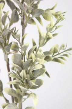 Artificial Hedge Spray