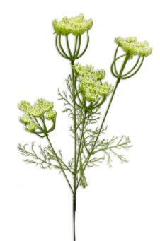 Artificial Field Flower Spray