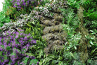 Artificial Green Wall Mixed Mat FR and UV