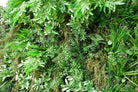 Artificial Green Wall Mixed Mat FR and UV