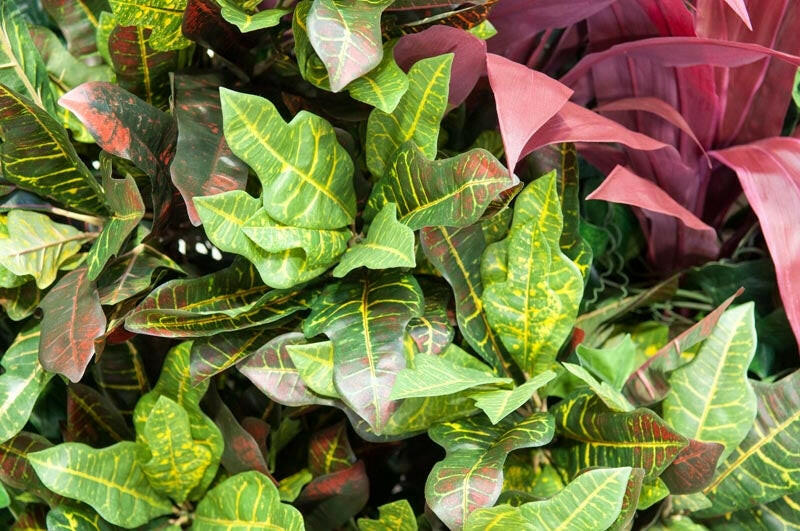 Artificial Green Wall Mixed Mat FR and UV