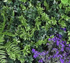 Artificial Green Wall Mixed Mat FR and UV