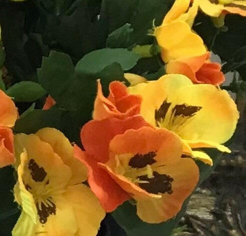 Artificial Silk Pansies in a Cemetery Pot