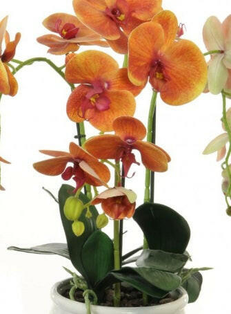 Artificial Triple Phalaenopsis Orchid Arrangement In Lined Bowl