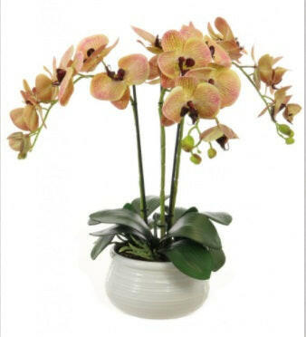 Artificial Triple Phalaenopsis Orchid Arrangement In Lined Bowl
