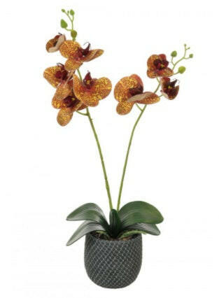 Artificial 2 Stem Phalaenopsis Orchid Arrangement
